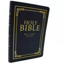  Custom Bible book